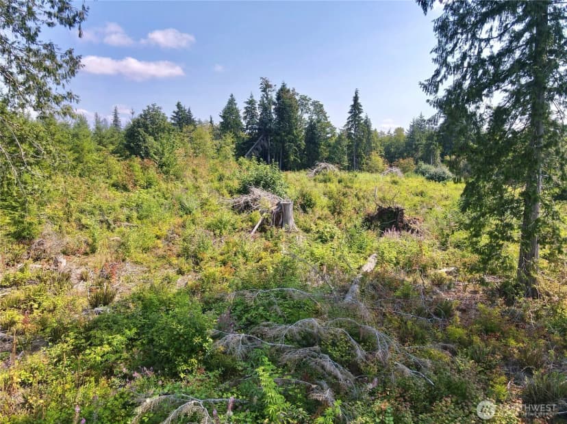 Property photo for 27423 Old Pipeline Road, Monroe photo 24