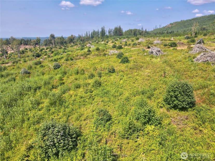 Property photo for 27423 Old Pipeline Road, Monroe photo 26