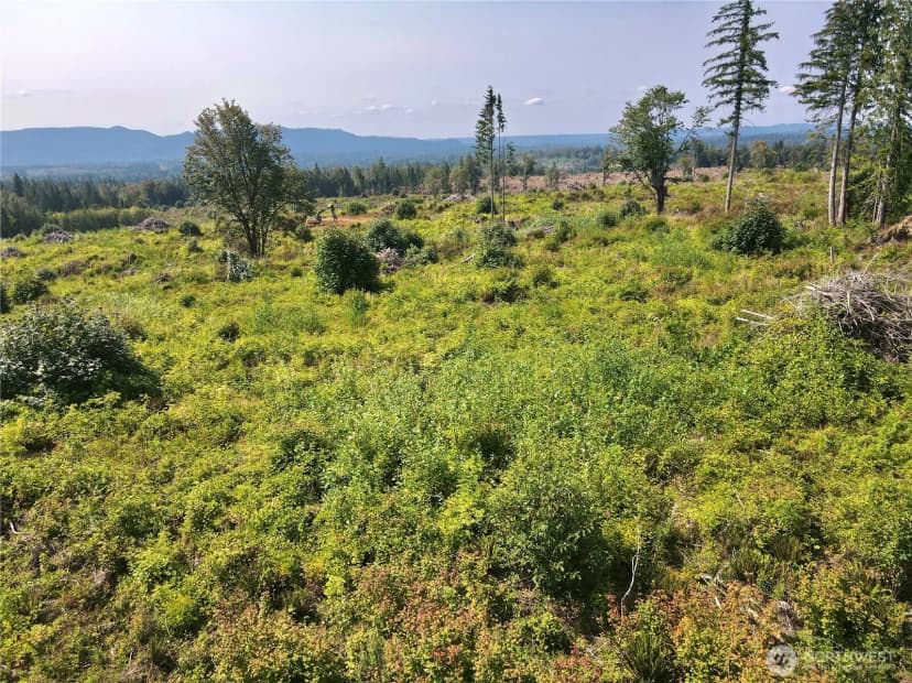Property photo for 27423 Old Pipeline Road, Monroe photo 17