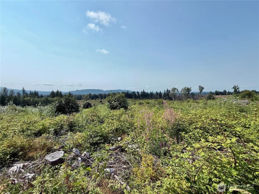 Property photo for 27423 Old Pipeline Road, Monroe photo 38