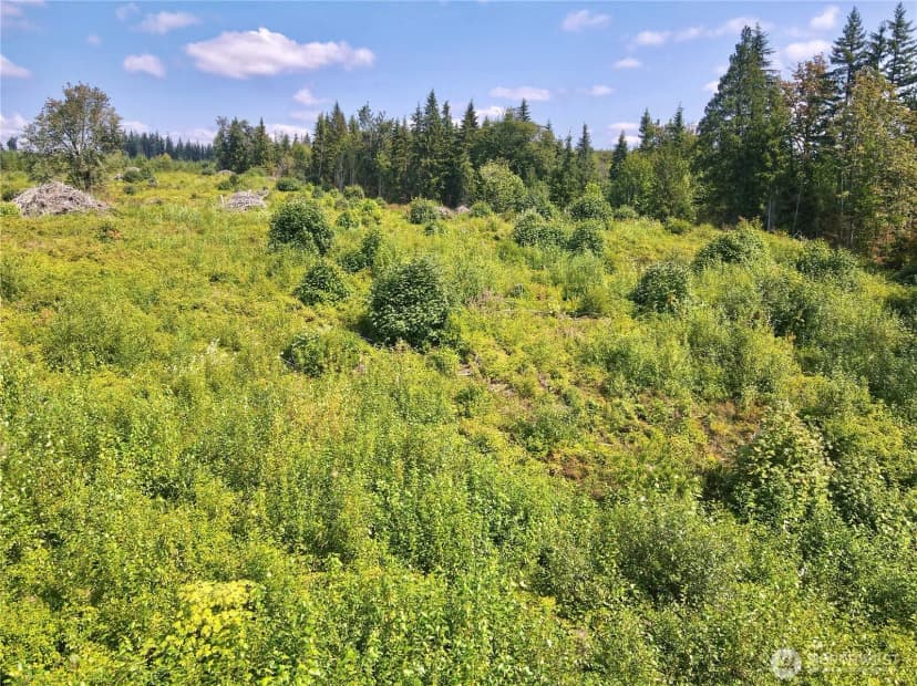 Property photo for 27423 Old Pipeline Road, Monroe photo 14