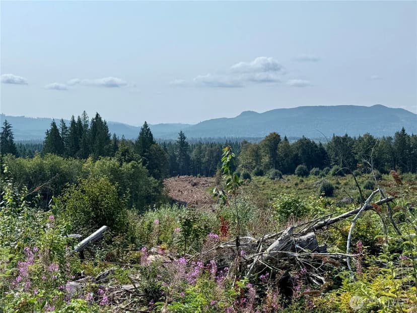 Property photo for 27423 Old Pipeline Road, Monroe photo 33