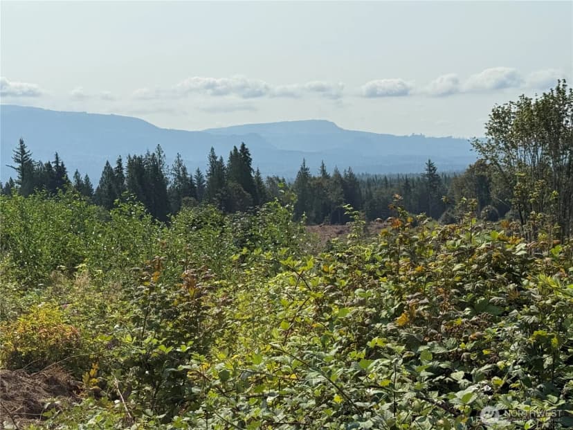Property photo for 27423 Old Pipeline Road, Monroe photo 9