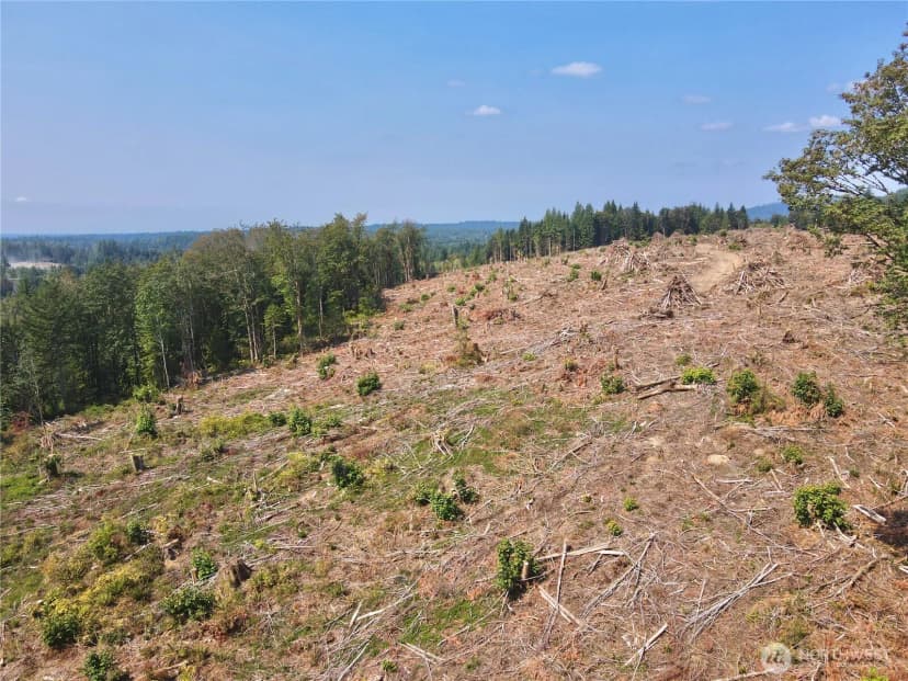 Property photo for 27417 Old Pipeline Road, Monroe photo 16