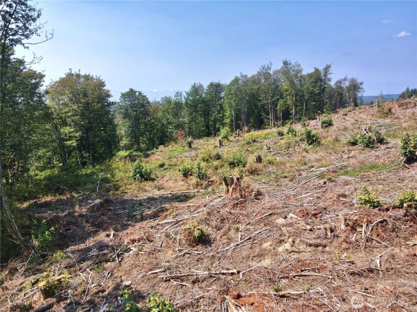 Property photo for 27417 Old Pipeline Road, Monroe photo 28