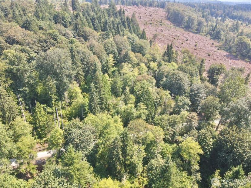 Property photo for 27413 Old Pipeline Road, Monroe photo 13