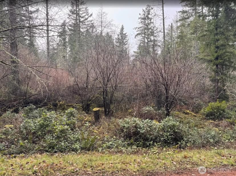 Property photo for 10618 Tahoma Drive, Anderson Island