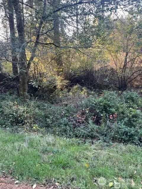 Property photo for 10618 Tahoma Drive, Anderson Island photo 4