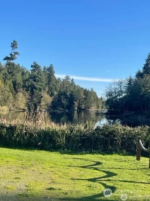 Property photo for 10618 Tahoma Drive, Anderson Island photo 11