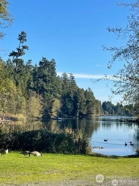 Property photo for 10618 Tahoma Drive, Anderson Island photo 10