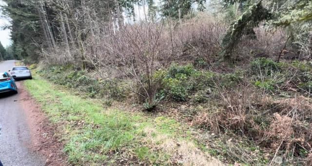 Property photo for 10618 Tahoma Drive, Anderson Island photo 3
