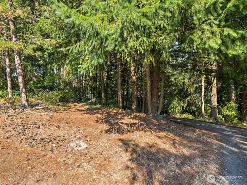 Property photo for 8925 Timber Loop Se, Olympia photo 22