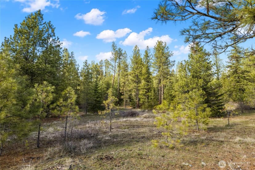 Property photo for 672 Forest Ridge Dr., Cle Elum photo 6