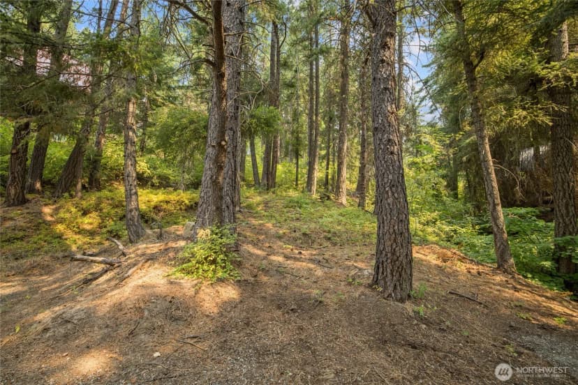 Property photo for 1511 Pine Loch Sun Drive, Ronald photo 6