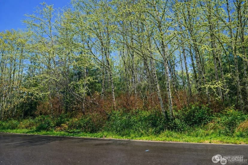Property photo for 821 Duck Lake Drive Ne, Ocean Shores