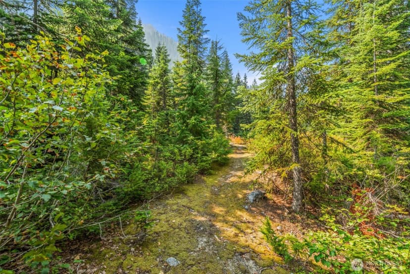 Property photo for 34374 N Nason Road, Leavenworth photo 25