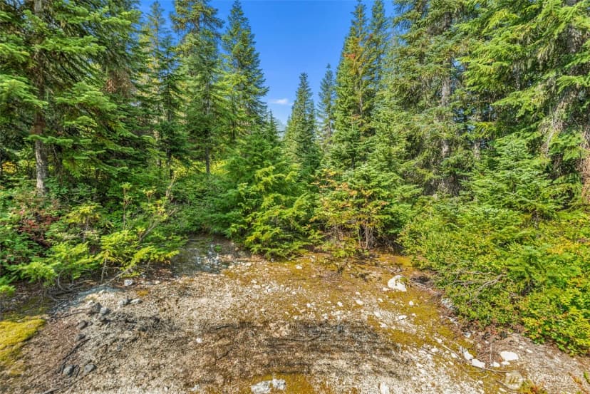 Property photo for 34374 N Nason Road, Leavenworth photo 16