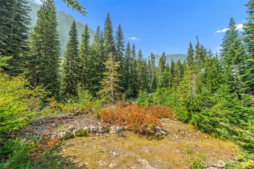 Property photo for 34374 N Nason Road, Leavenworth photo 24