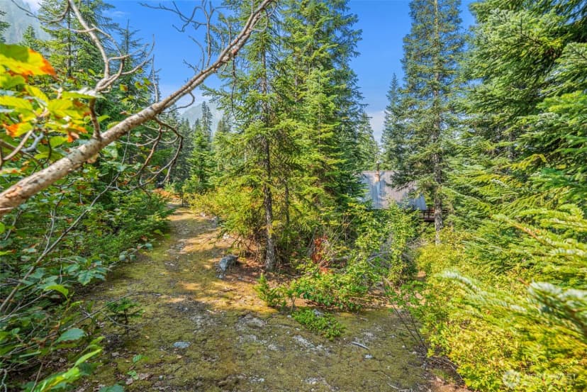 Property photo for 34374 N Nason Road, Leavenworth photo 26