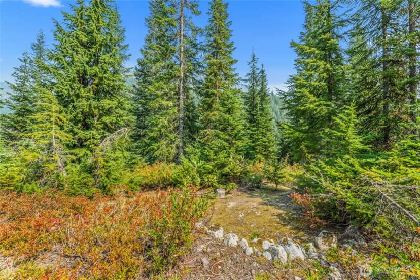 Property photo for 34374 N Nason Road, Leavenworth photo 23