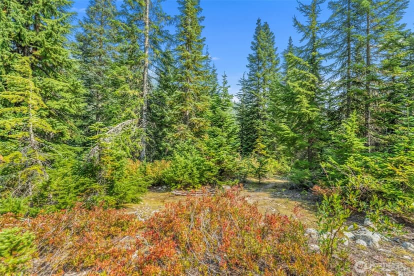 Property photo for 34374 N Nason Road, Leavenworth photo 22