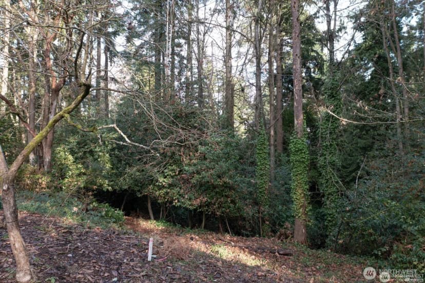Property photo for 11325 30th Avenue Ne, Seattle photo 6