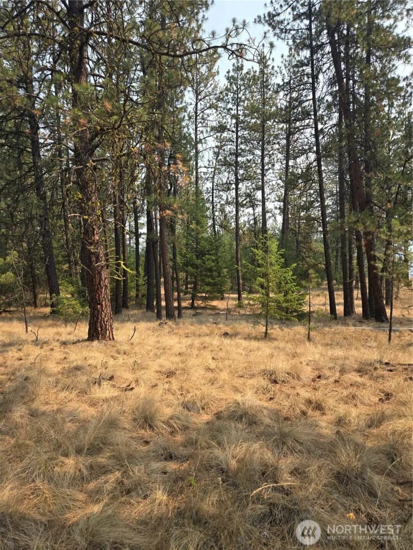 Property photo for 0 Tbd Turner Lake Road, Tonasket photo 10