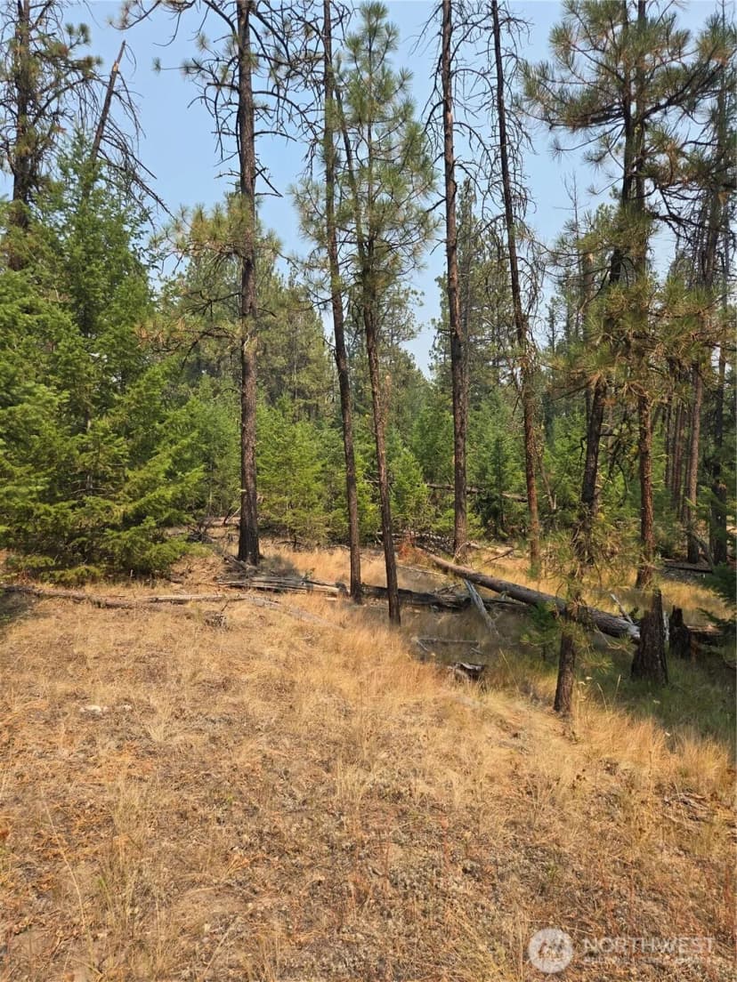 Property photo for 0 Tbd Turner Lake Road, Tonasket photo 14