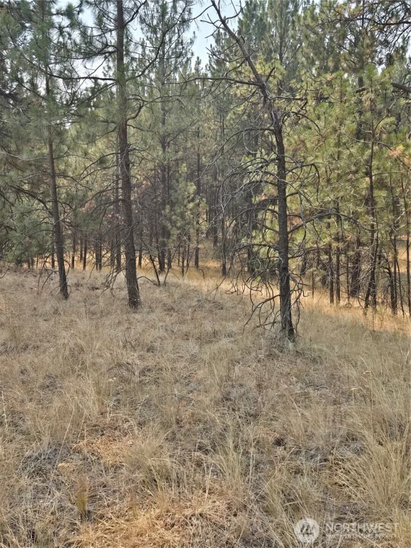 Property photo for 0 Tbd Turner Lake Road, Tonasket photo 6