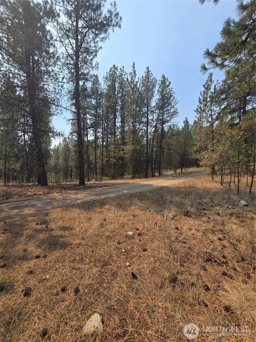 Property photo for 0 Tbd Turner Lake Road, Tonasket photo 9