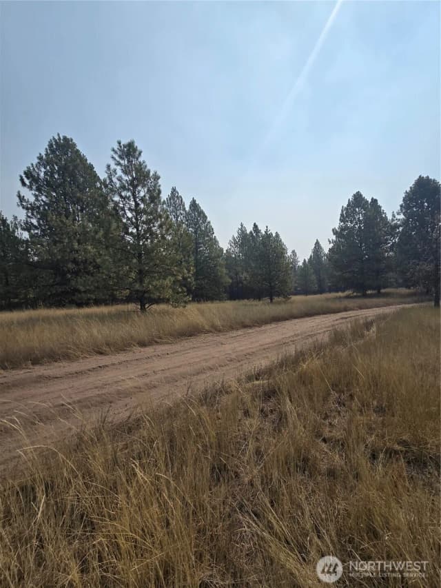 Property photo for 0 Tbd Turner Lake Road, Tonasket photo 4