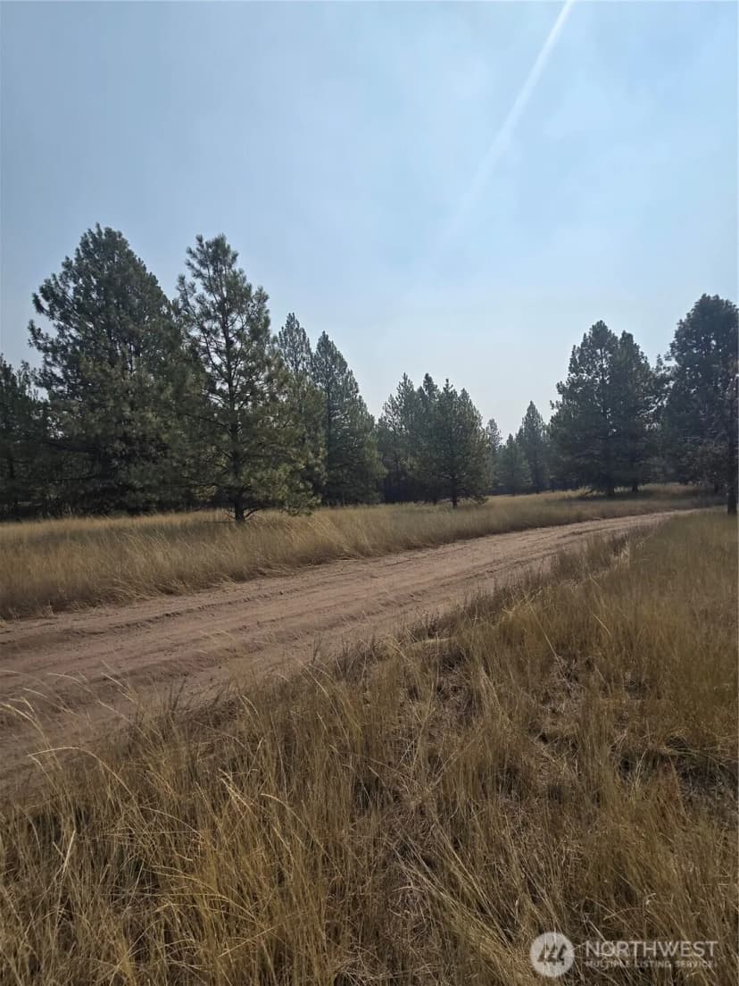 Property photo for 0 Tbd Turner Lake Road, Tonasket photo 4