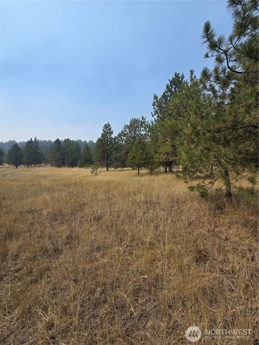 Property photo for 0 Tbd Turner Lake Road, Tonasket photo 7