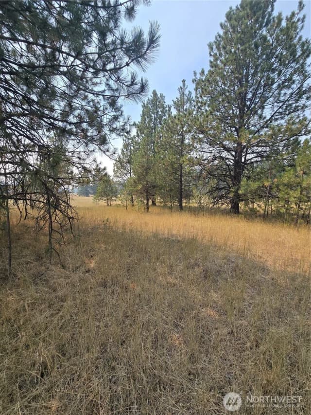 Property photo for 0 Tbd Turner Lake Road, Tonasket photo 2