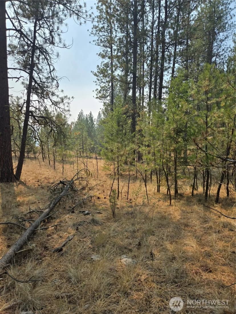 Property photo for 0 Tbd Turner Lake Road, Tonasket photo 11