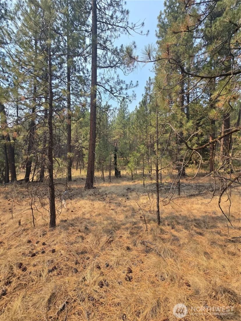 Property photo for 0 Tbd Turner Lake Road, Tonasket photo 19