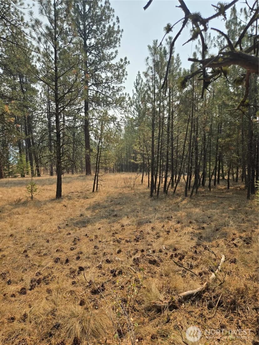 Property photo for 0 Tbd Turner Lake Road, Tonasket photo 12