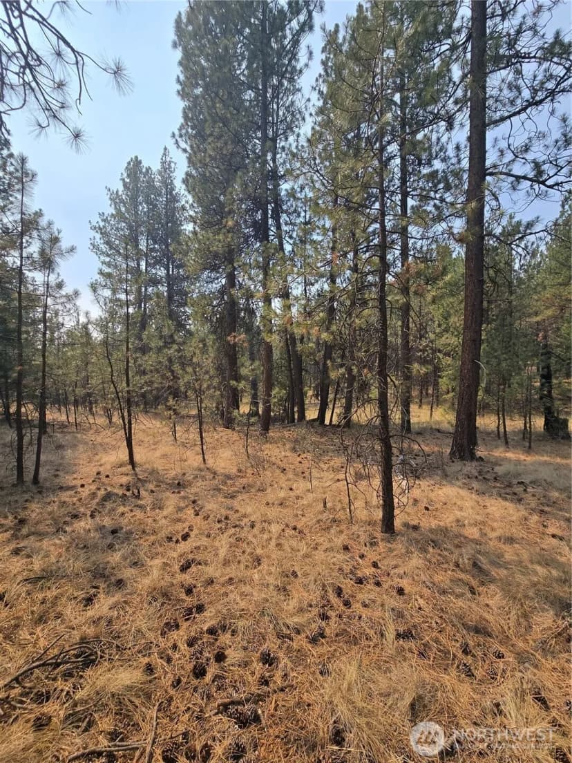 Property photo for 0 Tbd Turner Lake Road, Tonasket photo 8