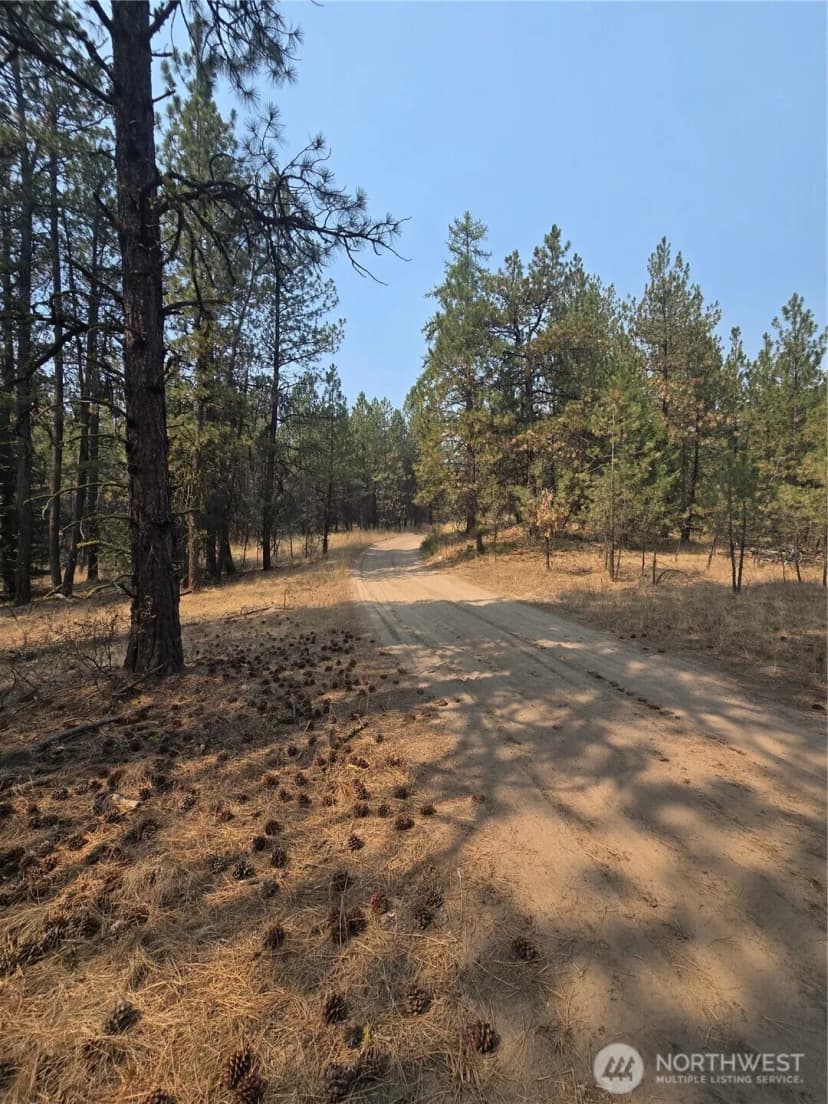 Property photo for 0 Tbd Turner Lake Road, Tonasket photo 18