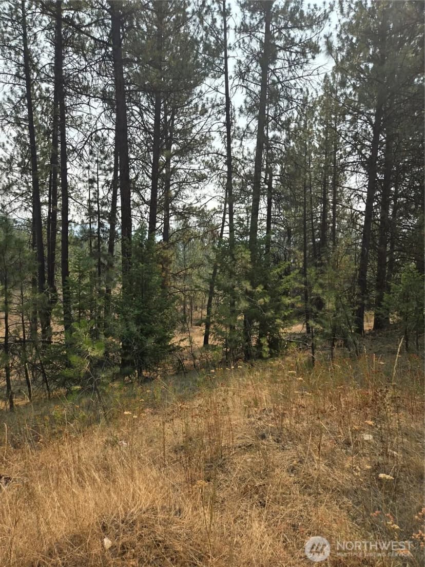 Property photo for 0 Tbd Turner Lake Road, Tonasket photo 13