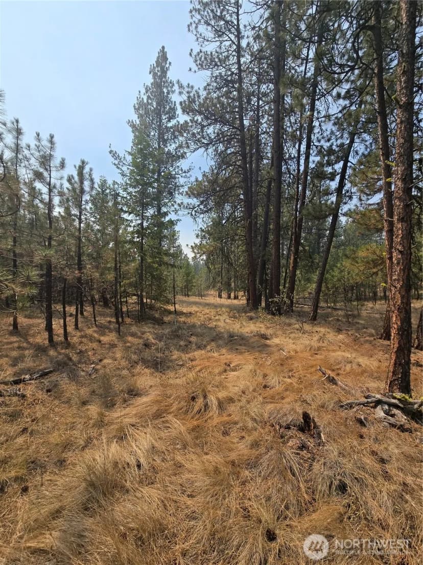 Property photo for 0 Tbd Turner Lake Road, Tonasket photo 17
