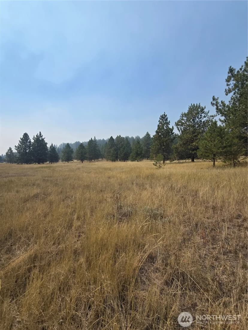 Property photo for 0 Tbd Turner Lake Road, Tonasket photo 5