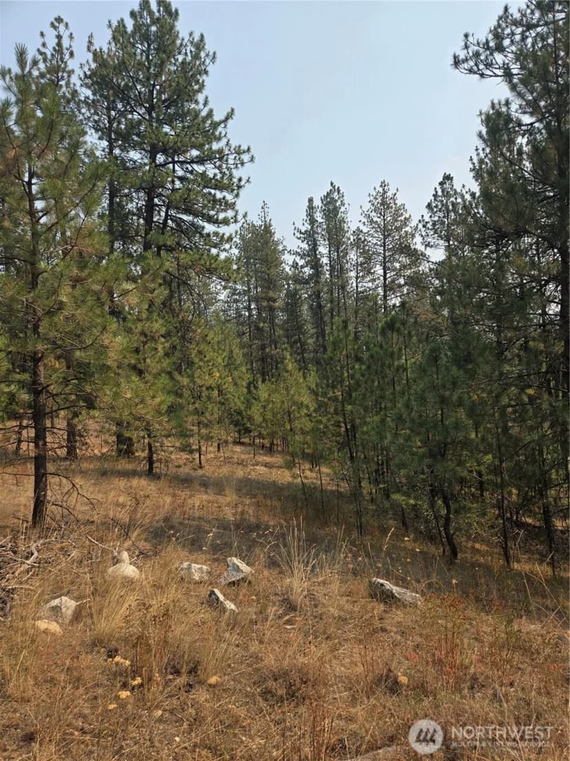 Property photo for 0 Tbd Turner Lake Road, Tonasket photo 15