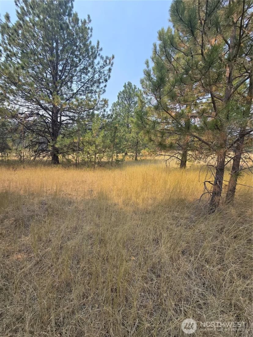 Property photo for 0 Tbd Turner Lake Road, Tonasket photo 3