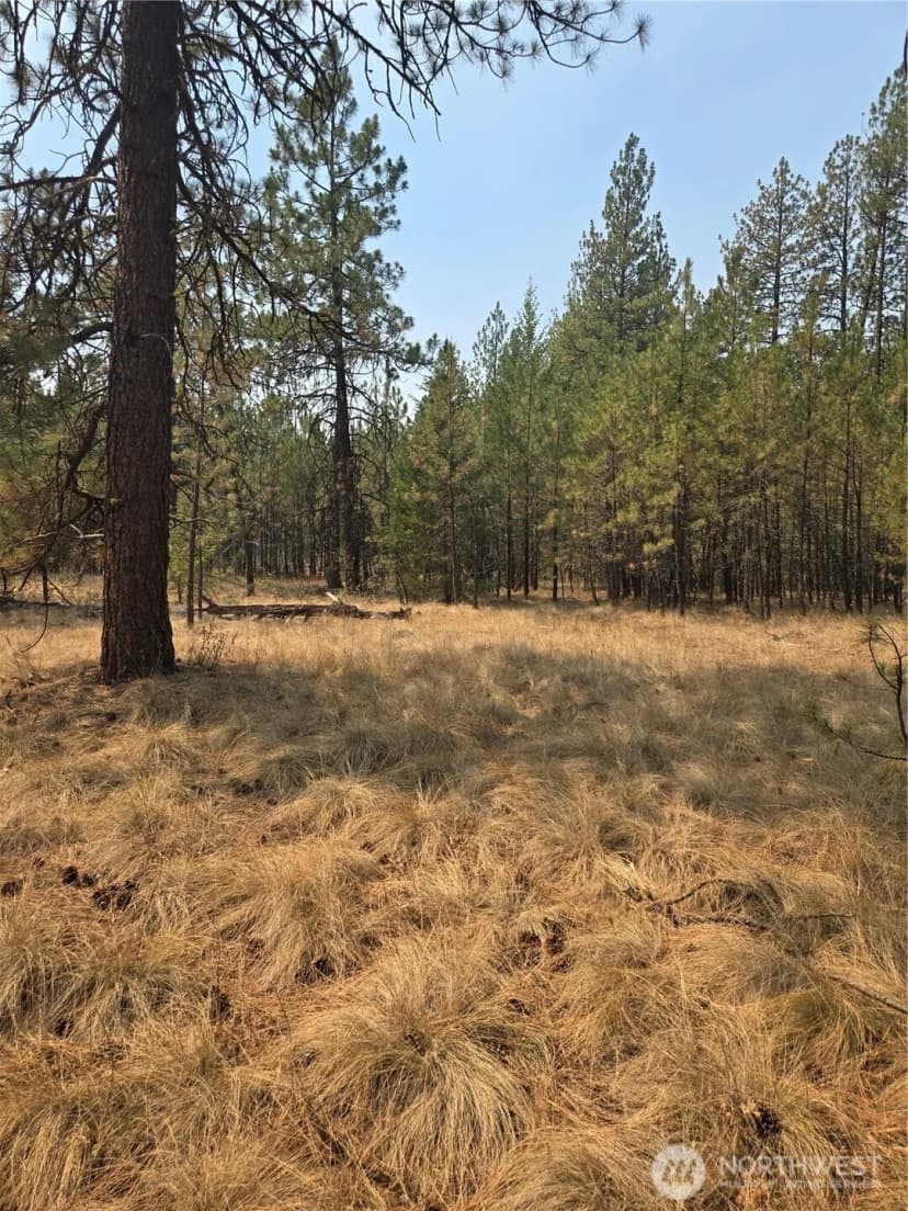 Property photo for 0 Tbd Turner Lake Road, Tonasket photo 16