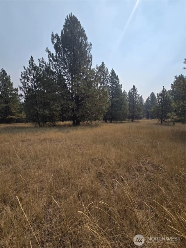 Property photo for 0 Tbd Turner Lake Road, Tonasket