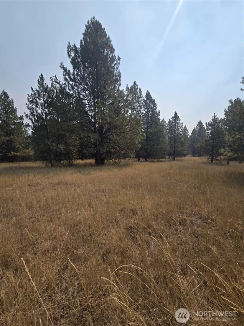 Property photo for 0 Tbd Turner Lake Road, Tonasket