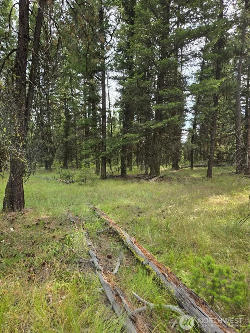 Property photo for 0 Tbd Turner Lake Road, Tonasket photo 10