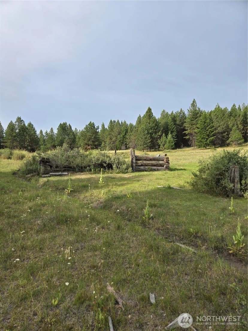 Property photo for 0 Tbd Turner Lake Road, Tonasket photo 14
