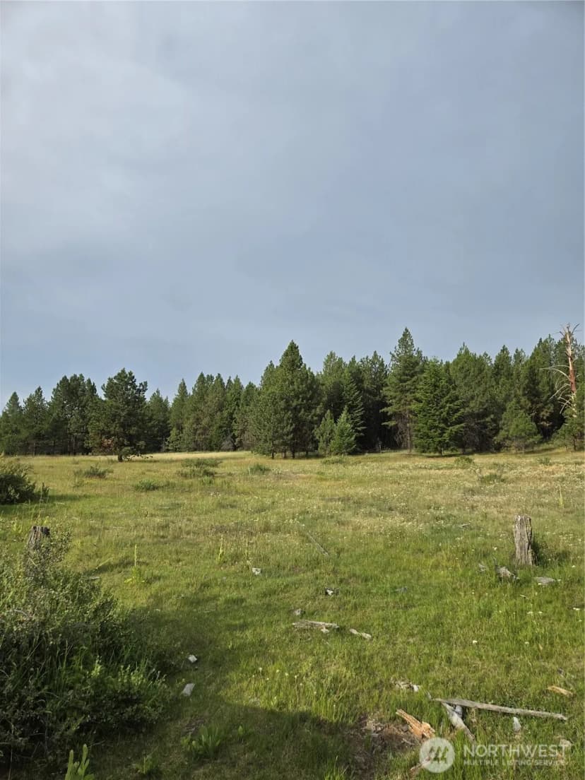 Property photo for 0 Tbd Turner Lake Road, Tonasket photo 15